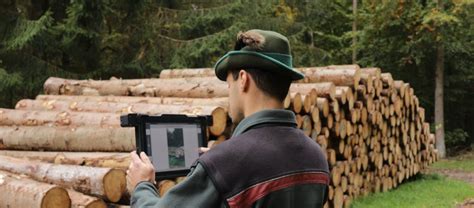 logstackpro|LogStackPRO: fast, reliable photo measurements of raw wood .